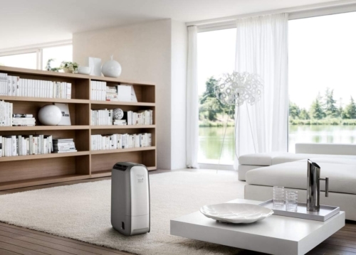 DeLonghi Tasciugo AriaDry Light DNS80