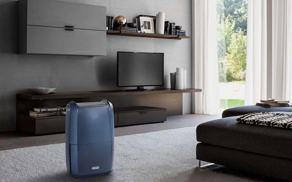  Deshumidificador AriaDry Pure DDSX220WF
