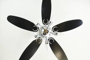 ventilador de techo Arius