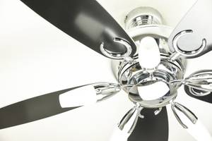 Luces de los ventiladores de techo