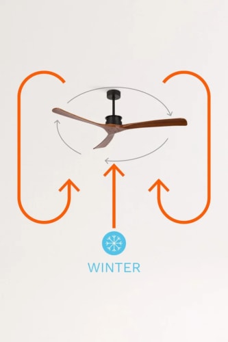 Función invierno