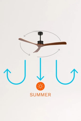 Función verano