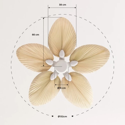 Dimensiones de ikohs WINDLIGHT PALM DC