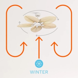 ikohs WINDLIGHT PALM DC en invierno
