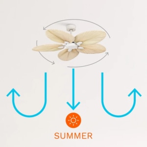 ikohs WINDLIGHT PALM DC en verano