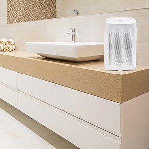 TROTEC Peltier TTP 10 E