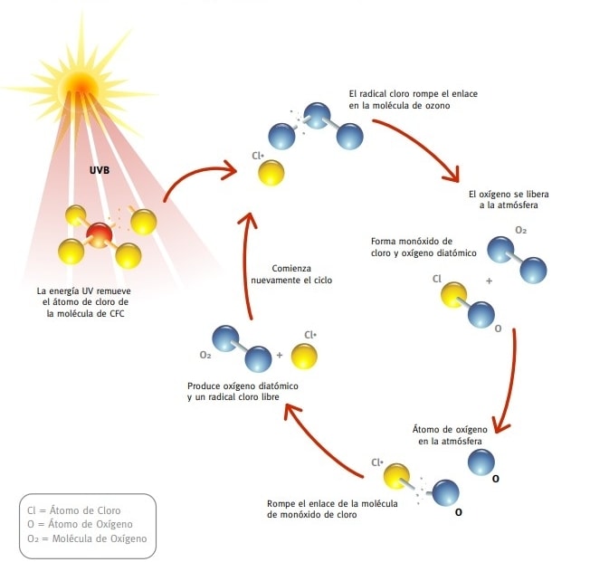 Destrucción del ozono por los CFC 