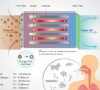 Qué es un purificador de aire con filtro electrónico