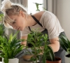 ¿Las plantas purifican el aire de tu hogar?